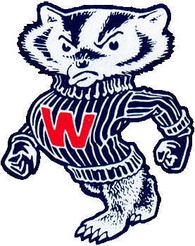 Wisconsin Badgers 1967-1990 Primary Logo diy fabric transfer